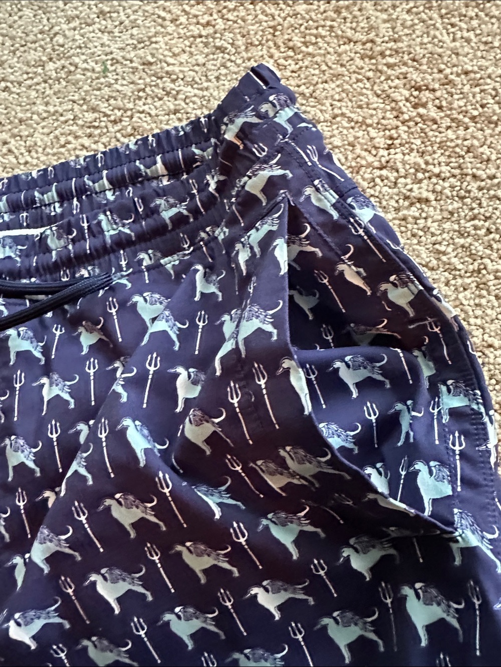 Birddogs swim trunks - Picture 11 of 12